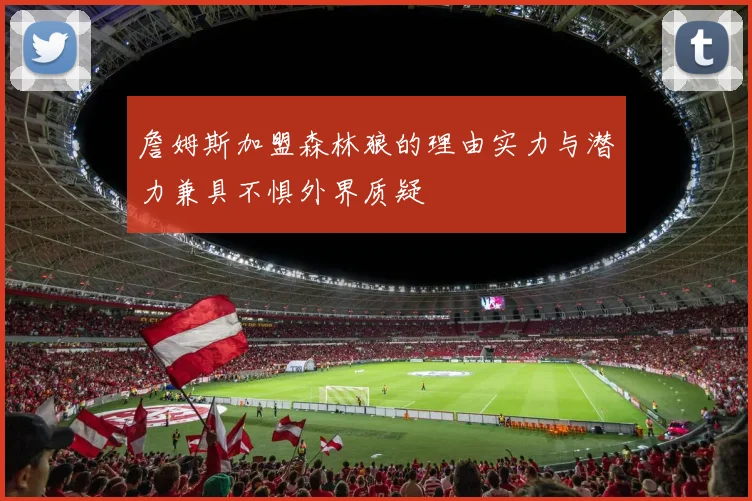 詹姆斯加盟森林狼的理由实力与潜力兼具不惧外界质疑
