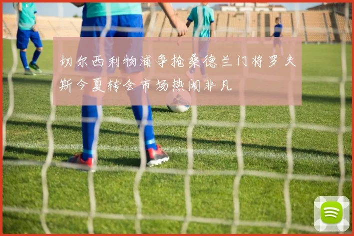 切尔西利物浦争抢桑德兰门将罗夫斯今夏转会市场热闹非凡